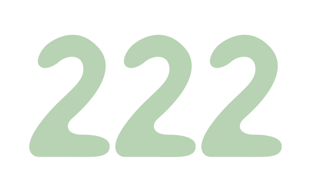 222 - angel number